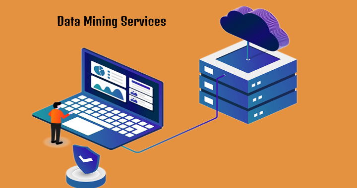 data mining services