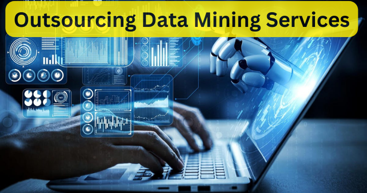 Outsourcing data mining services